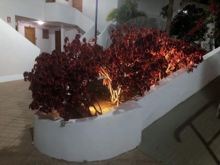 Apartamento Lucia Garden City Con Piscina Climatizada Playa Feñabe Zewnętrze zdjęcie