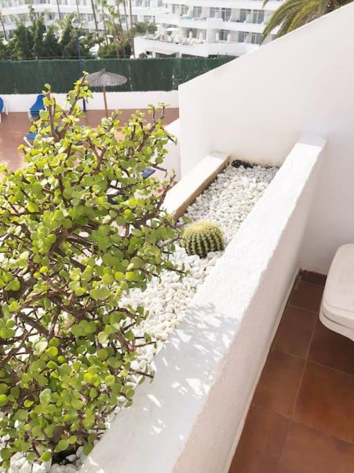 Apartamento Lucia Garden City Con Piscina Climatizada Playa Feñabe Zewnętrze zdjęcie