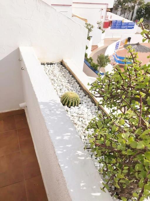 Apartamento Lucia Garden City Con Piscina Climatizada Playa Feñabe Zewnętrze zdjęcie